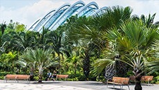 Gardens by the Bay