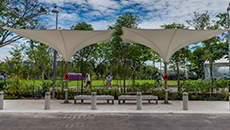 Jurong Lake Park