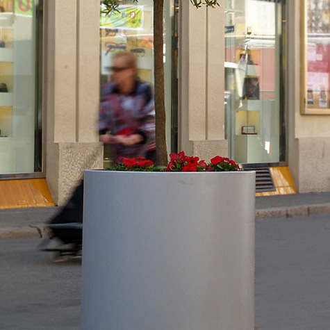 Aster Planter