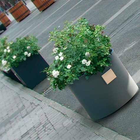 Aster Planter