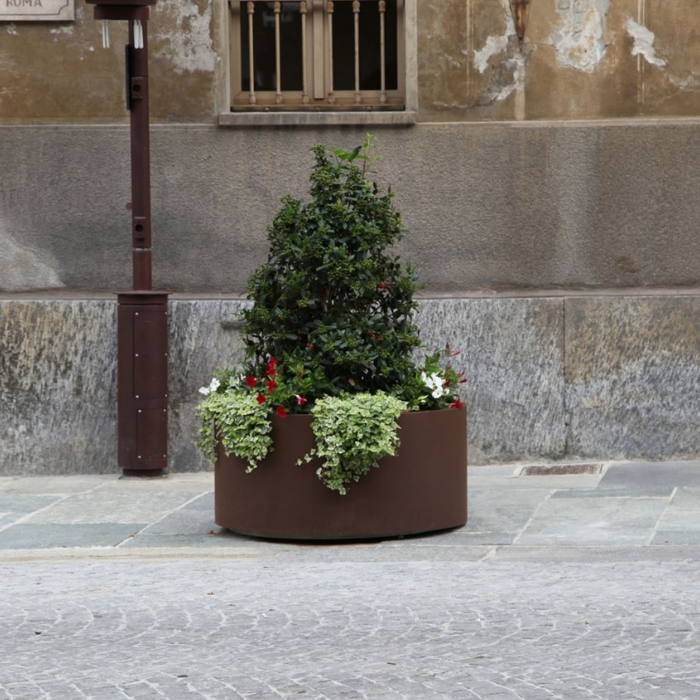Aster Planter