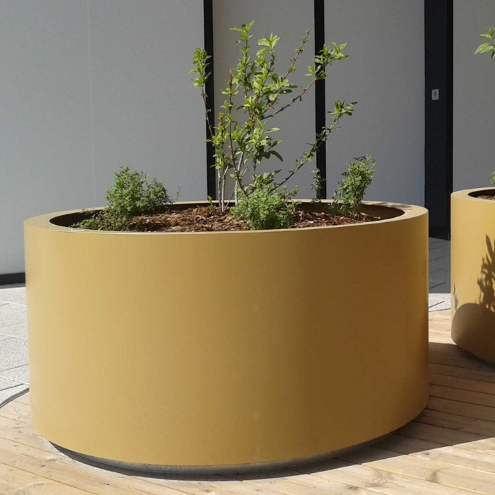 Aster Planter