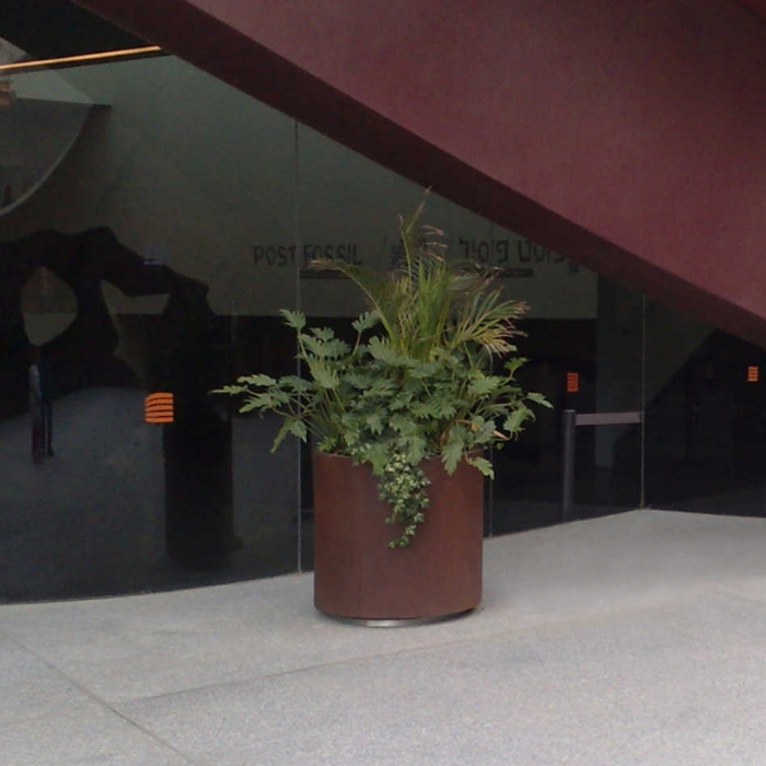 Aster Planter