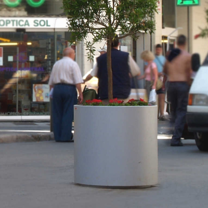 Aster Planter