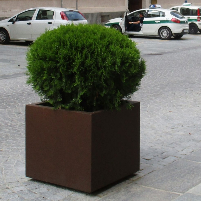 Dahlia Planter