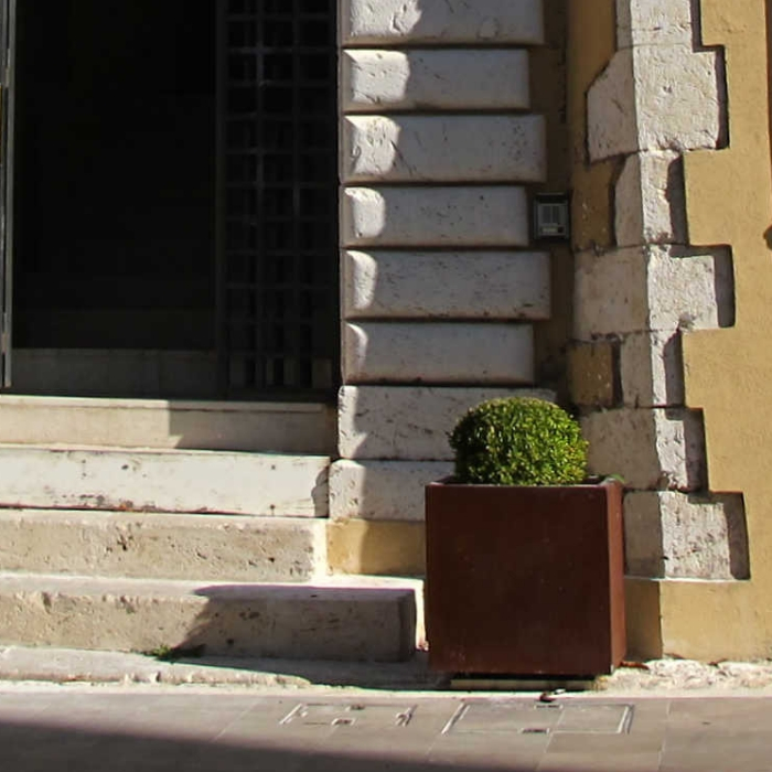 Dahlia Planter
