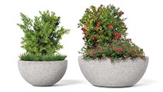 Ball Planter