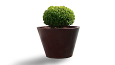 Pitocca Planter