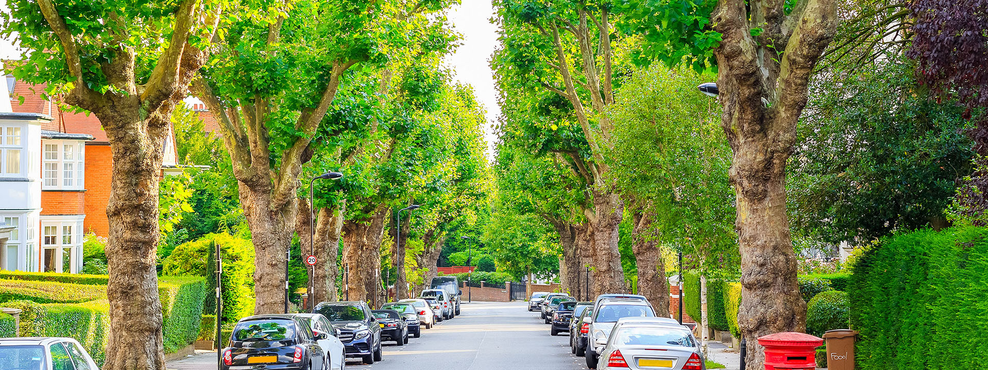 The health & well being benefits of urban planting