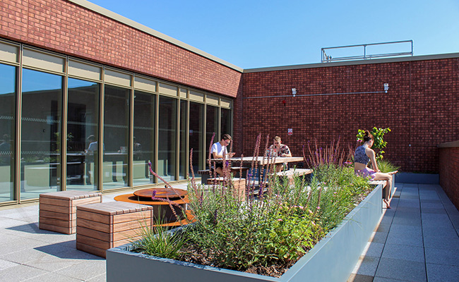 Roof terraces