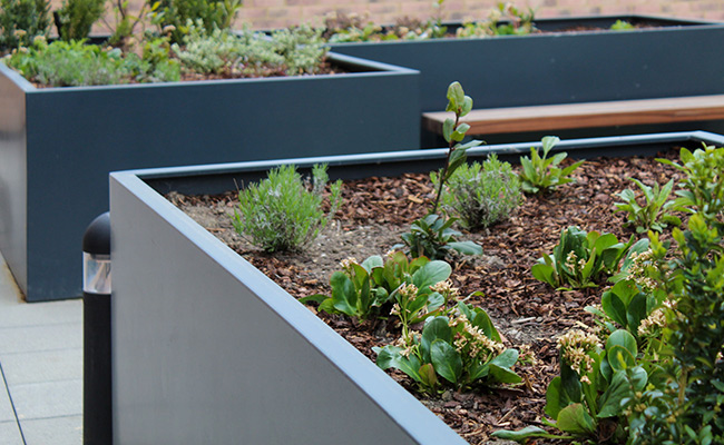 Alliot house, London Student Accomodation - Planters