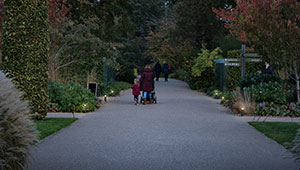 RHS Wisley Gardens