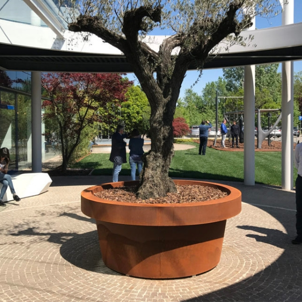 Size Planter