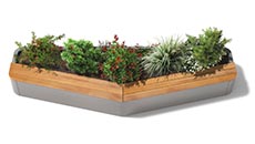 City of Sion Planter