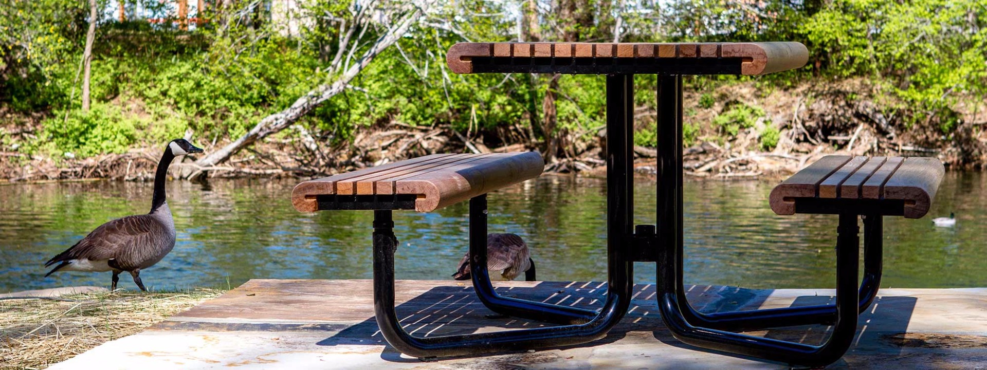 Gretchen Picnic Table