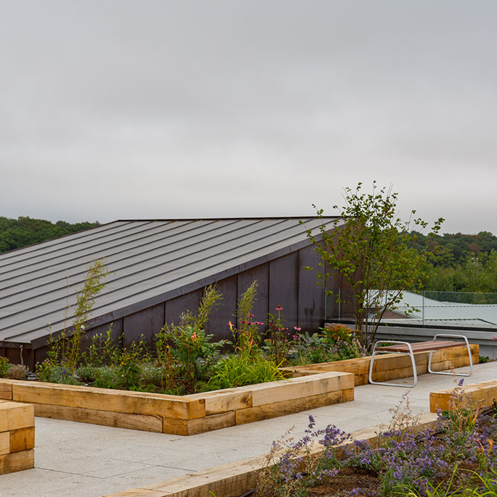 Edge Hill Library Roof Terrace