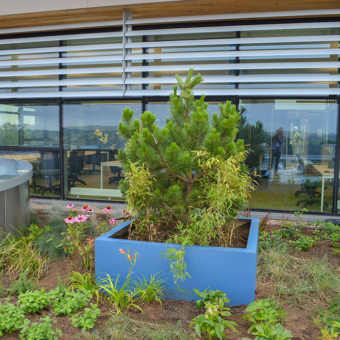 Edge Hill Library Roof Terrace